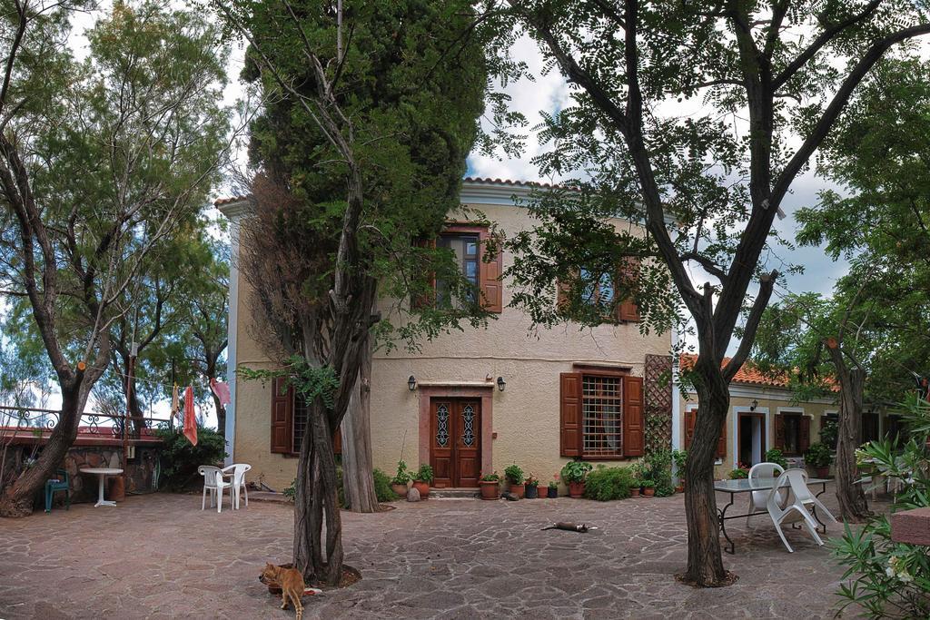 Lela Kaptani Eftalou Olive Grove Mythimna Esterno foto